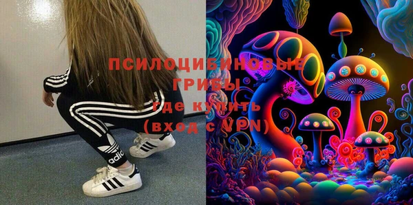 прущая мука Козловка