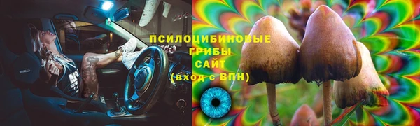 твердый Кодинск